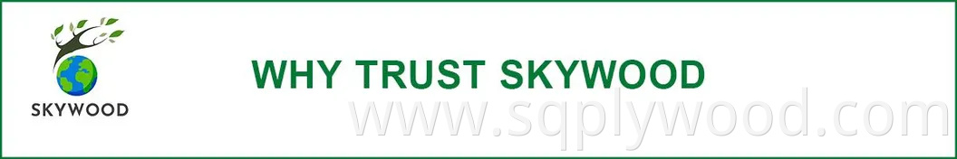 12/18mm E0 Black Brown Anti Slip Waterproof Glossy Laminated Basswood Mersawa Mahogany Eucalyptus Beech Birch Poplar Melamine Phenolic Film Faced Coated Plywood